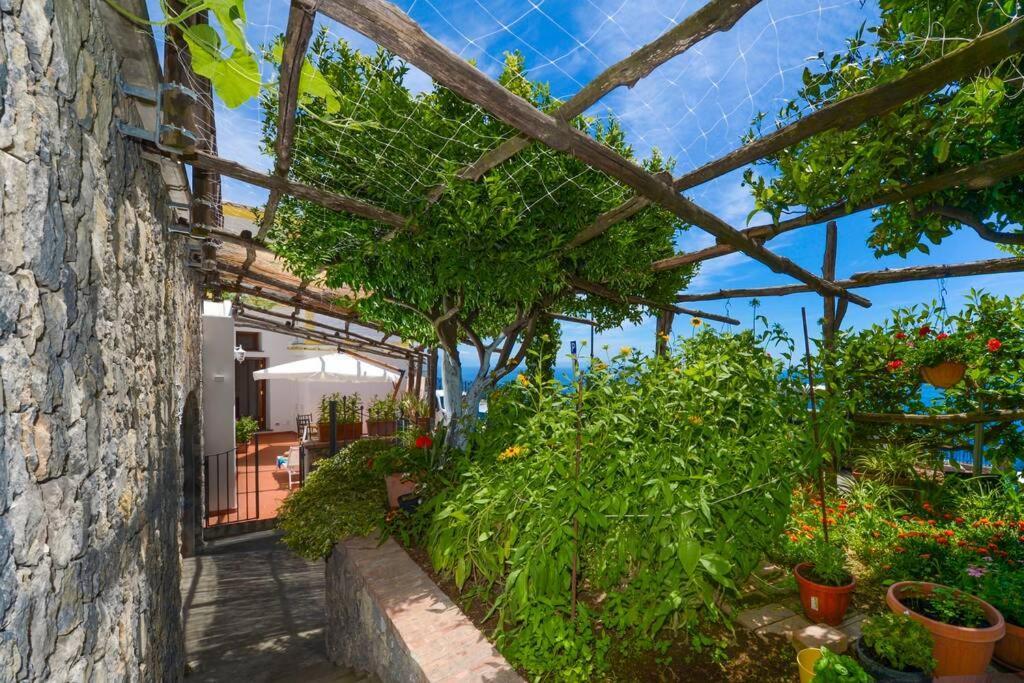 Casa La Verbena Praiano Exteriör bild